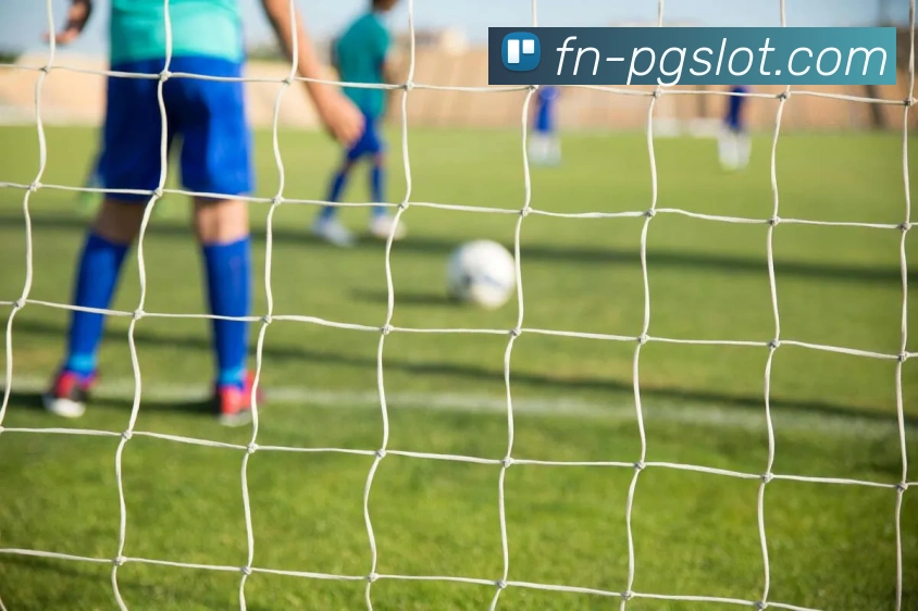 PG娱乐城官网品牌故事