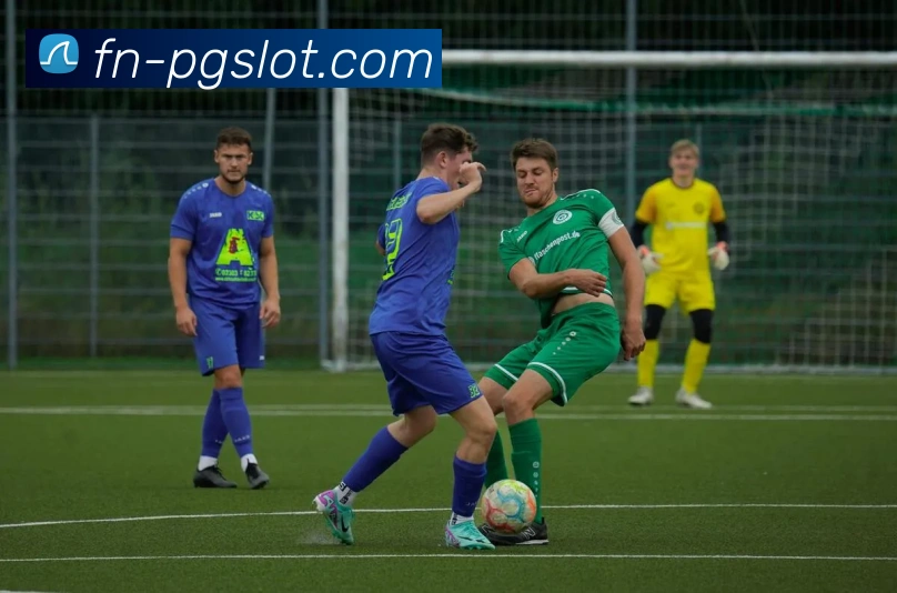 PG娱乐城官网服务体系